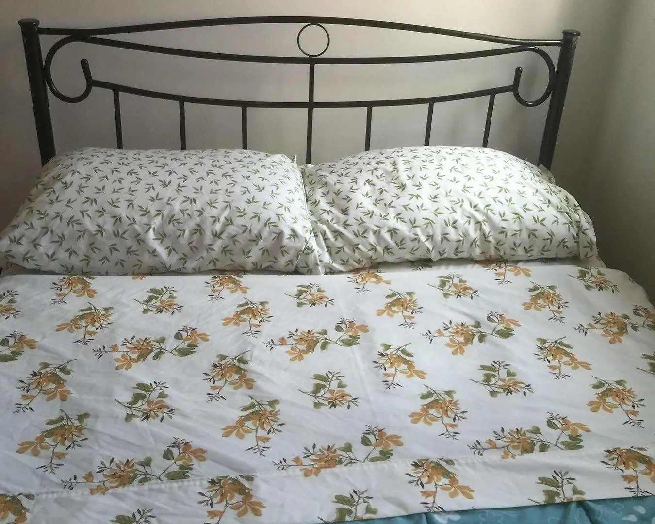 Guest house University Apartment Toronto